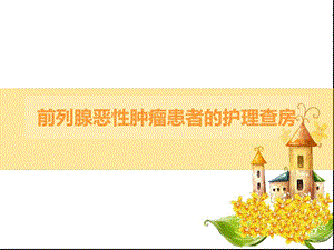 前列腺癌的护理查房.ppt.ppt