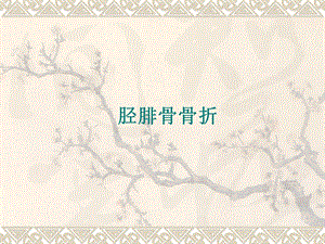 胫腓骨骨折.ppt
