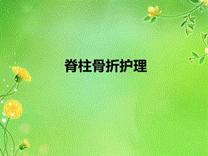 脊柱骨折护理2.ppt