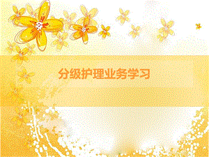 分级护理业务学习.ppt