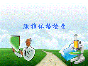 腰椎查体精要.ppt