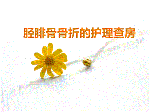 胫腓骨骨折护理查房1.ppt