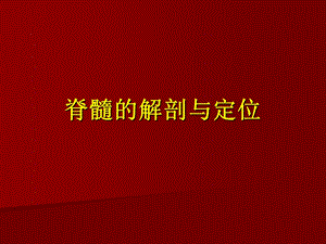 脊髓的解剖与定位.ppt