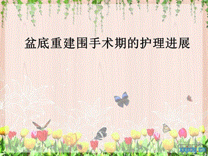 妇一盆底重建围手术期的护理进展.ppt