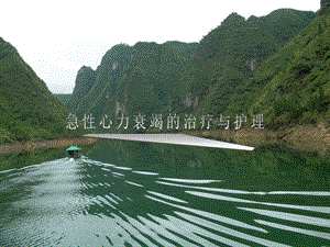 急性心力衰竭的治疗与护理.ppt