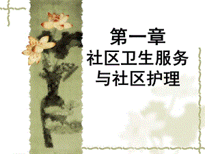 社区卫生服务与社区护理.ppt