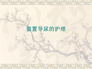 留置导尿的护理.ppt.ppt