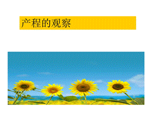 产程的观察与护理.ppt