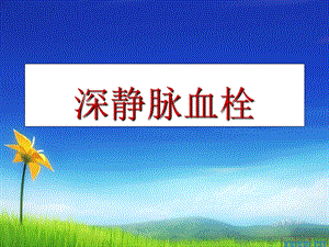深静脉血栓的护理 要点.ppt