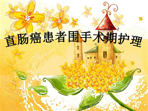 直肠癌围手术期护理.ppt