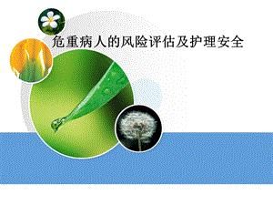 危重病人的风险评估及护理安全.ppt