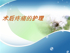 术后疼痛护理l.ppt