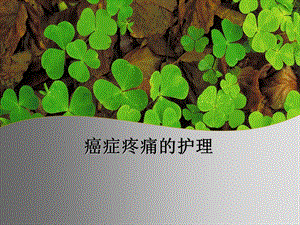 癌症疼痛的护理.ppt