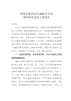 某某市委书记2023年在全市组织部长会议上的讲话.docx