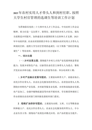 2023年农村实用人才带头人和到村任职、按照大学生村官管理的选调生等培训工作计划.docx
