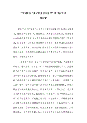 2023围绕“强化质量效率意识”研讨发言材料范文.docx