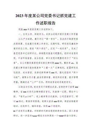 2023年度某公司党委书记抓党建工作述职报告.docx