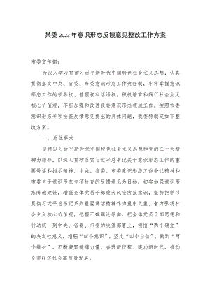 市发改委2023年意识形态反馈意见整改工作方案.docx