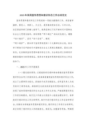 2023年某局宣传思想和意识形态工作总结范文.docx