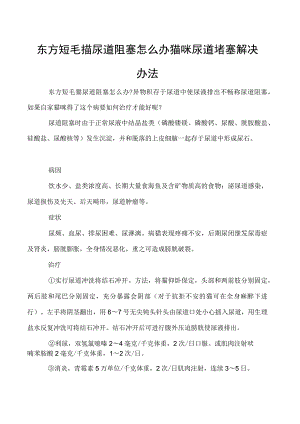 东方短毛猫尿道阻塞怎么办 猫咪尿道堵塞解决办法.docx
