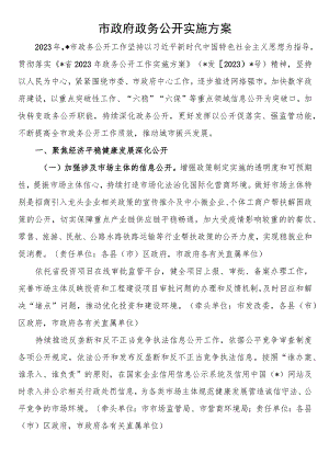 市政府政务公开实施方案.docx