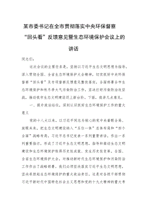 某市委书记在全市贯彻落实中央环保督察“回头看”反馈意见暨生态环境保护会议上的讲话.docx