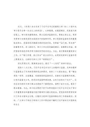 (3篇）2023年《在二十届中央审计委员会第一次会议上的讲话》读后感.docx