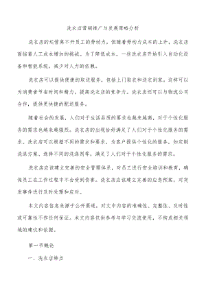 洗衣店营销推广与发展策略分析.docx