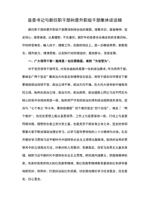 县委书记与新任职干部和晋升职级干部集体谈话稿.docx