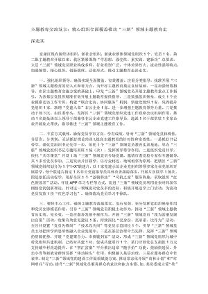 主题教育交流发言：精心组织 全面覆盖 推动“三新”领域主题教育走深走实.docx