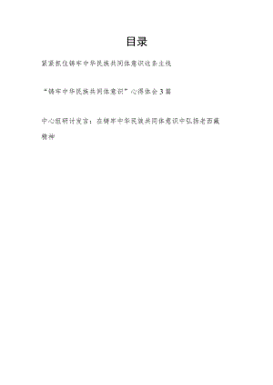 2024年“铸牢中华民族共同体意识”专题学习研讨发言材料5篇.docx