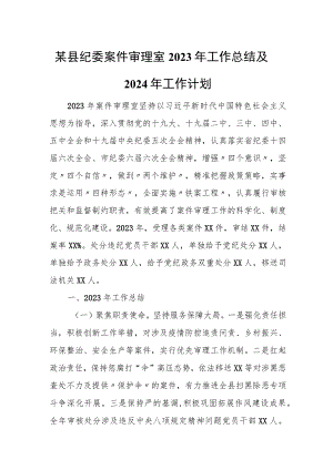 某县纪委案件审理室2023年工作总结及2024年工作计划.docx