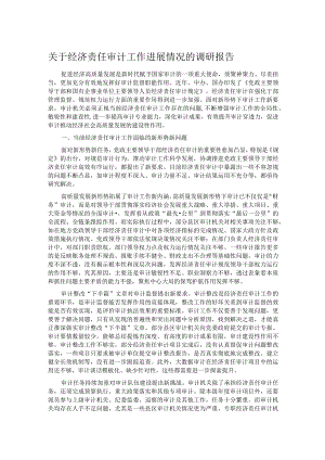 关于经济责任审计工作进展情况的调研报告.docx
