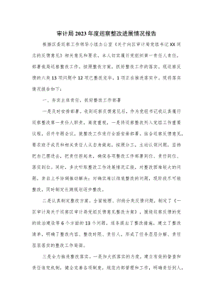 审计局2023年度巡察整改进展情况报告.docx
