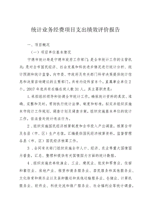 统计业务经费项目支出绩效评价报告.docx