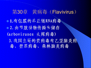 第30章黄病毒Flavivirus名师编辑PPT课件.ppt