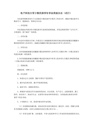 附件4 电子科技大学年少数民族奖学金 办法（2016年10月）.docx