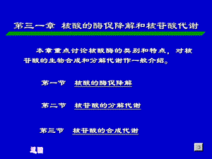第31章核酸的酶促降解和核苷酸代谢.ppt
