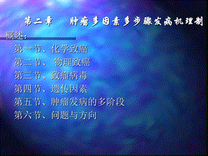 第2章肿瘤多因素多步骤发病机理制.ppt