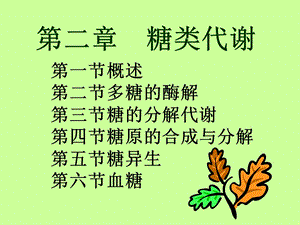 第2章糖代谢.ppt