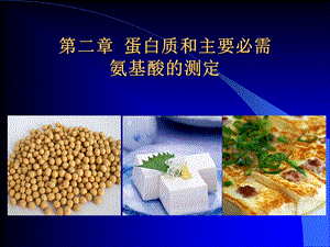 第2章蛋白质和主要必需氨基酸的测定.ppt