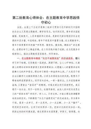 第二批教育心得体会：在主题教育中学思践悟守初心.docx