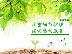 [PPT模板]注重细节护理提供感动服务.ppt