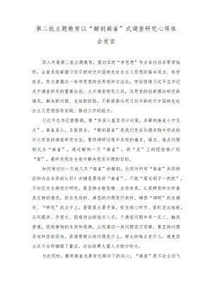 （2篇）2023年第二批主题教育以“解剖麻雀”式调查研究心得体会发言.docx