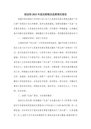 规划局2023年度巡察整改进展情况报告.docx