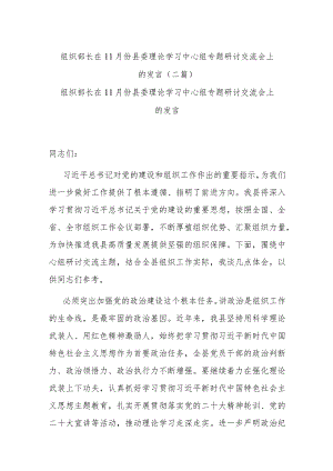 组织部长在11月份县委理论学习中心组专题研讨交流会上的发言(二篇).docx