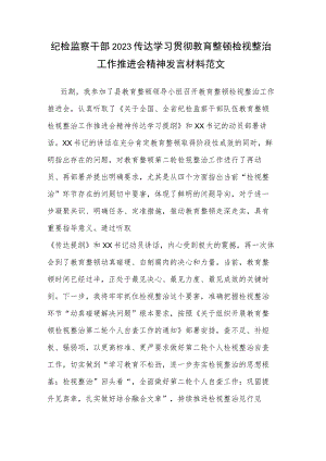纪检监察干部2023传达学习贯彻教育整顿检视整治工作推进会精神发言材料范文.docx