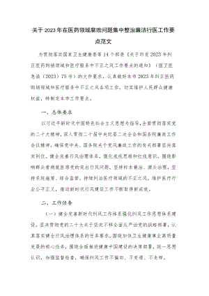 关于2023年在医药领域腐败问题集中整治廉洁行医工作要点范文.docx