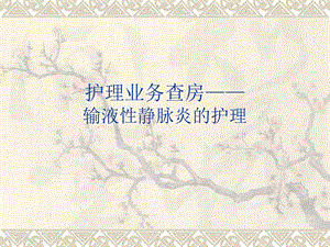 护理查房输液性静脉炎的护理预防.ppt