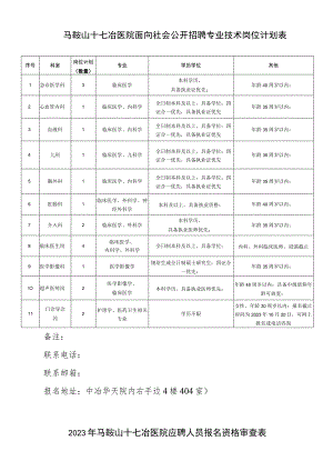 马鞍山十七冶医院面向社会公开招聘专业技术岗位计划表.docx